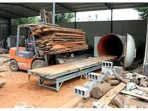 高頻真空木材干燥機